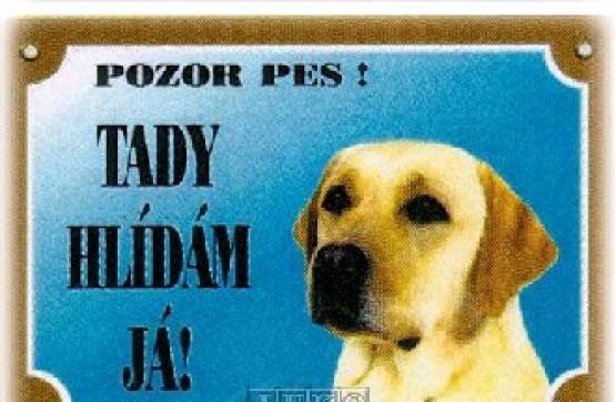 Cedulka - LABRADOR světlý