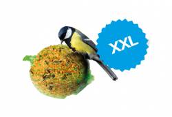 Lojosemenná koule XXL 500g