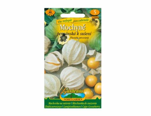 Mochyně permánská k sušení (Physalis peruviana) 